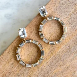 Riveting Stones Dangle Earrings