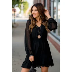 Sheer & Fabulous Long Sleeve Dress