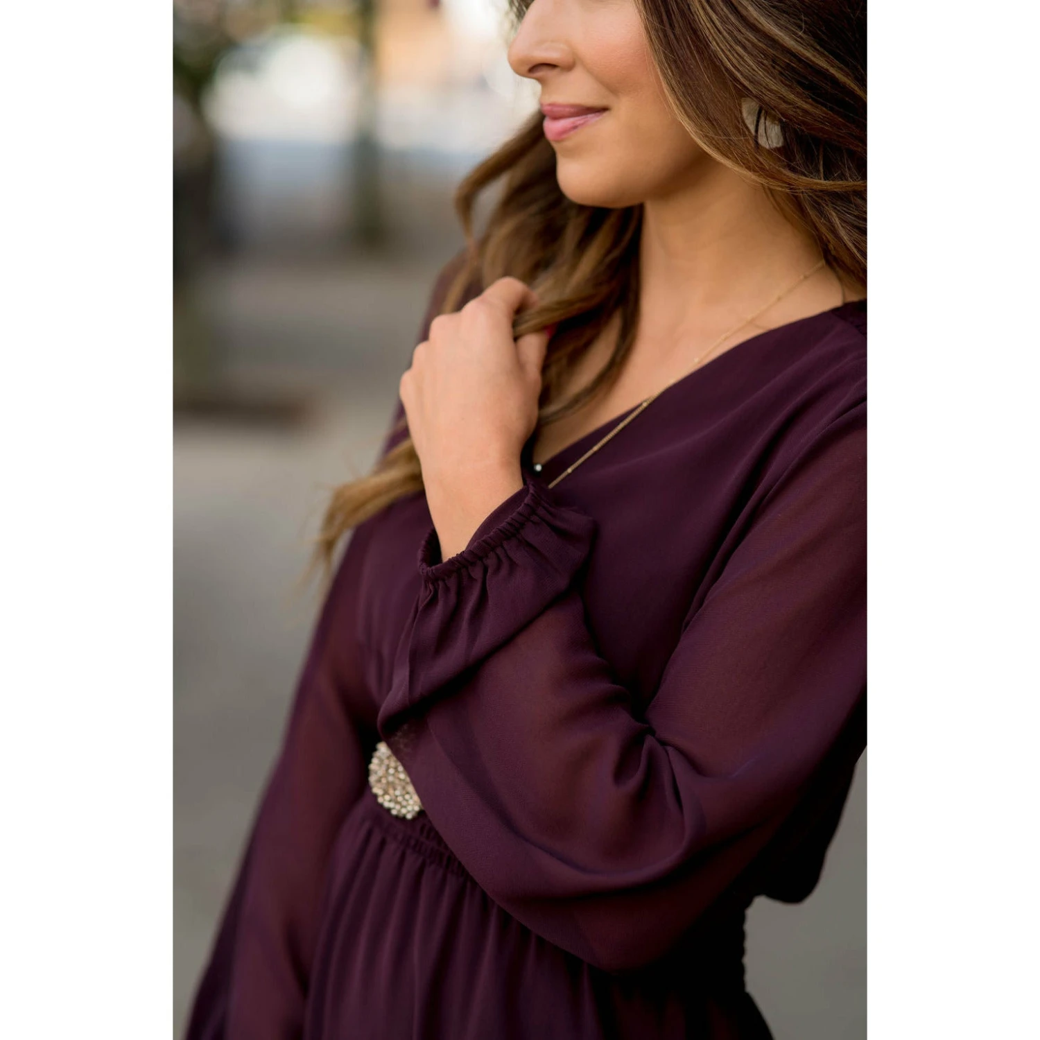 Sheer & Fabulous Long Sleeve Dress 18 Sheer & Fabulous Long Sleeve Dress - Image 18