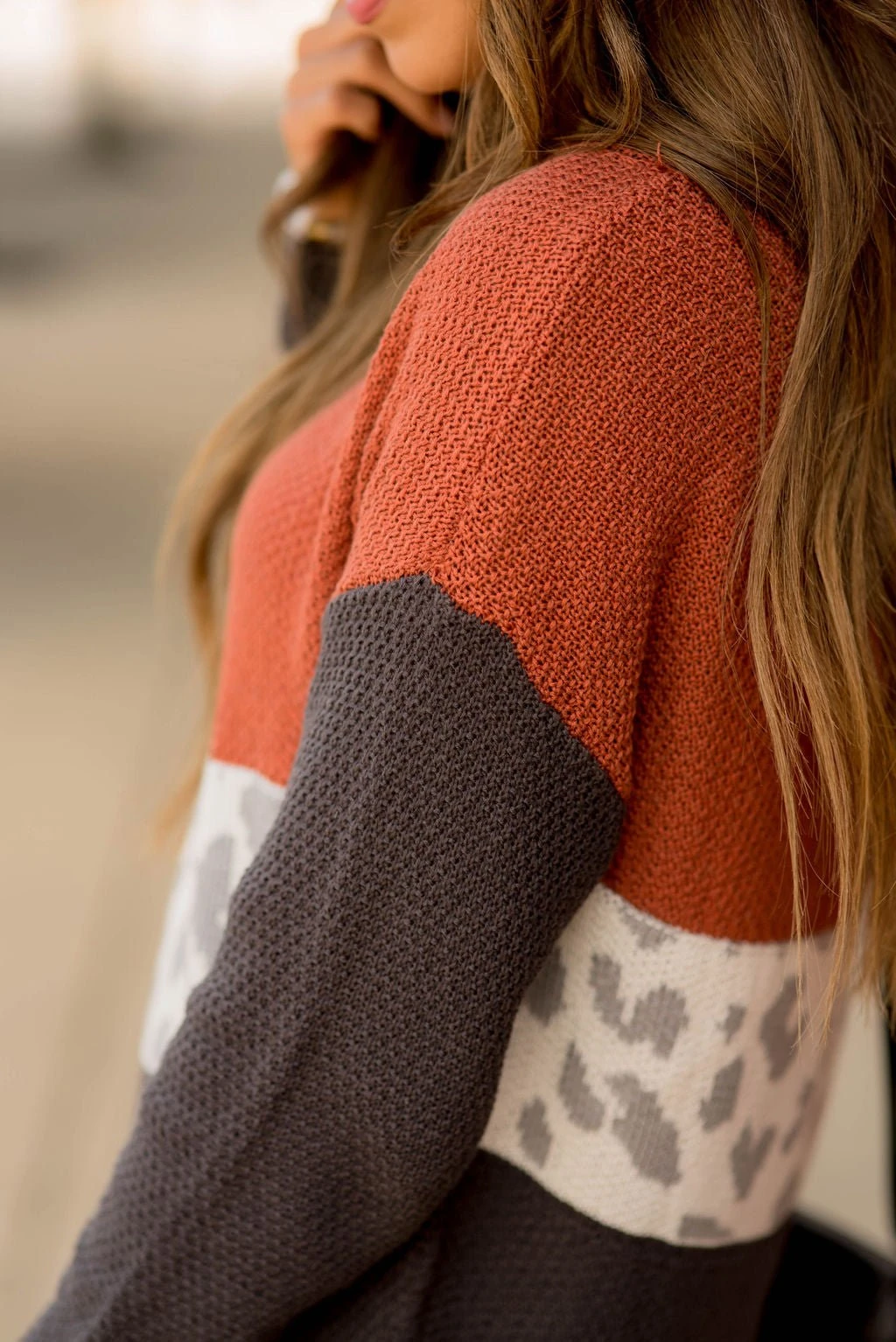 Leopard V-Block Sweater 13 Leopard V-Block Sweater - Image 13