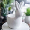 White Rabbit Planter