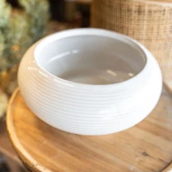 Raised Lines White Ceramic Bowl 5 Raised Lines White Ceramic Bowl -Women's Clothing Store BBJan 25 172