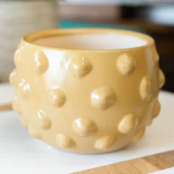 Bubble Terracotta Planter 10 Bubble Terracotta Planter -Women's Clothing Store BBJuly 23Shoot1 300 852944