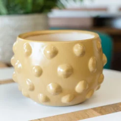 Bubble Terracotta Planter