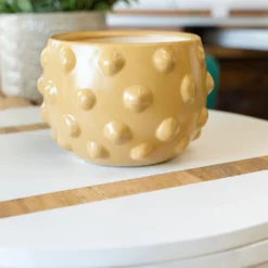 Bubble Terracotta Planter 8 Bubble Terracotta Planter -Women's Clothing Store BBJuly 23Shoot1 303 946823