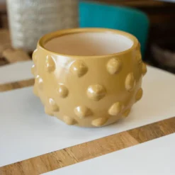 Bubble Terracotta Planter 9 Bubble Terracotta Planter -Women's Clothing Store BBJuly 23Shoot1 304 297650