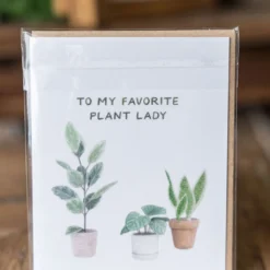 Greeting Cards 29 Greeting Cards -Women's Clothing Store BBJune 23 172 918653