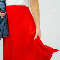 Elevated Accordion Midi Skirt -Women's Clothing Store DSC 2214