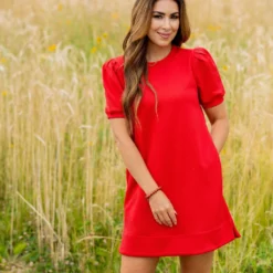 Subtle Argyle Puff Sleeve Dress 25 Subtle Argyle Puff Sleeve Dress -Women's Clothing Store untitled 3255