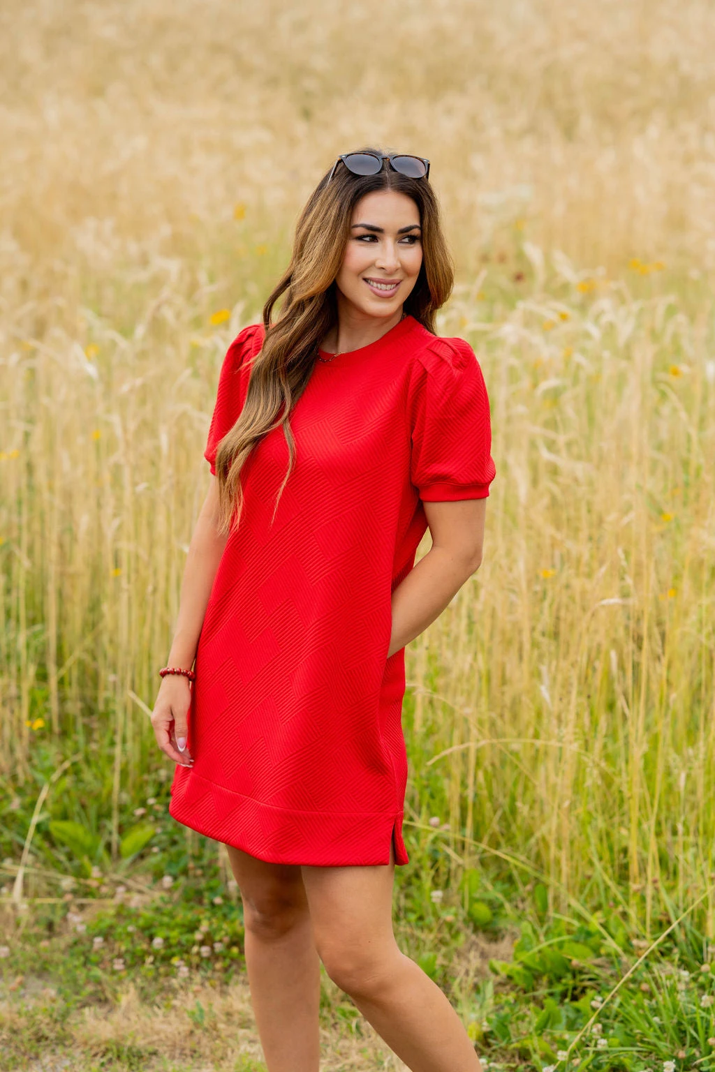 Subtle Argyle Puff Sleeve Dress 15 Subtle Argyle Puff Sleeve Dress - Image 15