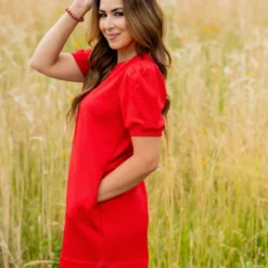 Subtle Argyle Puff Sleeve Dress 37 Subtle Argyle Puff Sleeve Dress -Women's Clothing Store untitled 3266