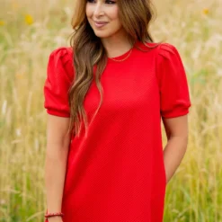 Subtle Argyle Puff Sleeve Dress 39 Subtle Argyle Puff Sleeve Dress -Women's Clothing Store untitled 3270