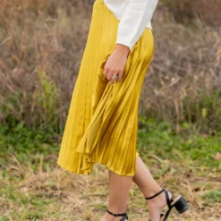 Chic Pleated Midi Skirt -Women's Clothing Store untitled 4888 651ec6c8 e97f 490b ae05 1cd04c27d3eb