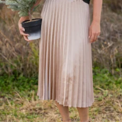 Chic Pleated Midi Skirt -Women's Clothing Store untitled 4953 140f9319 5394 4511 9036 04eb822da44e